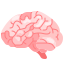 Brain Icon